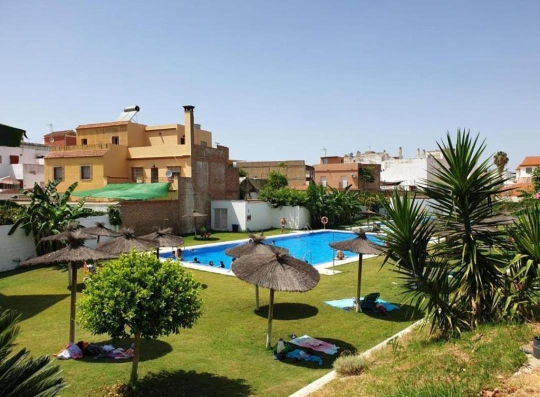 Apartamento En Sevilla Con Piscina Y Parking 拉阿尔加瓦 外观 照片